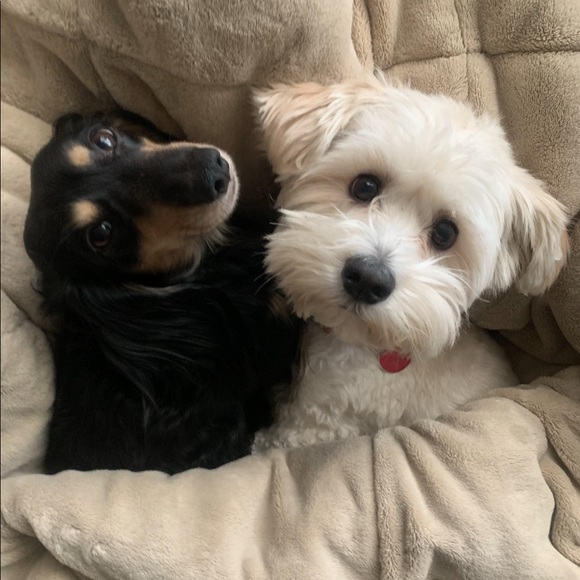 Hallo! - Picture 1 of 1